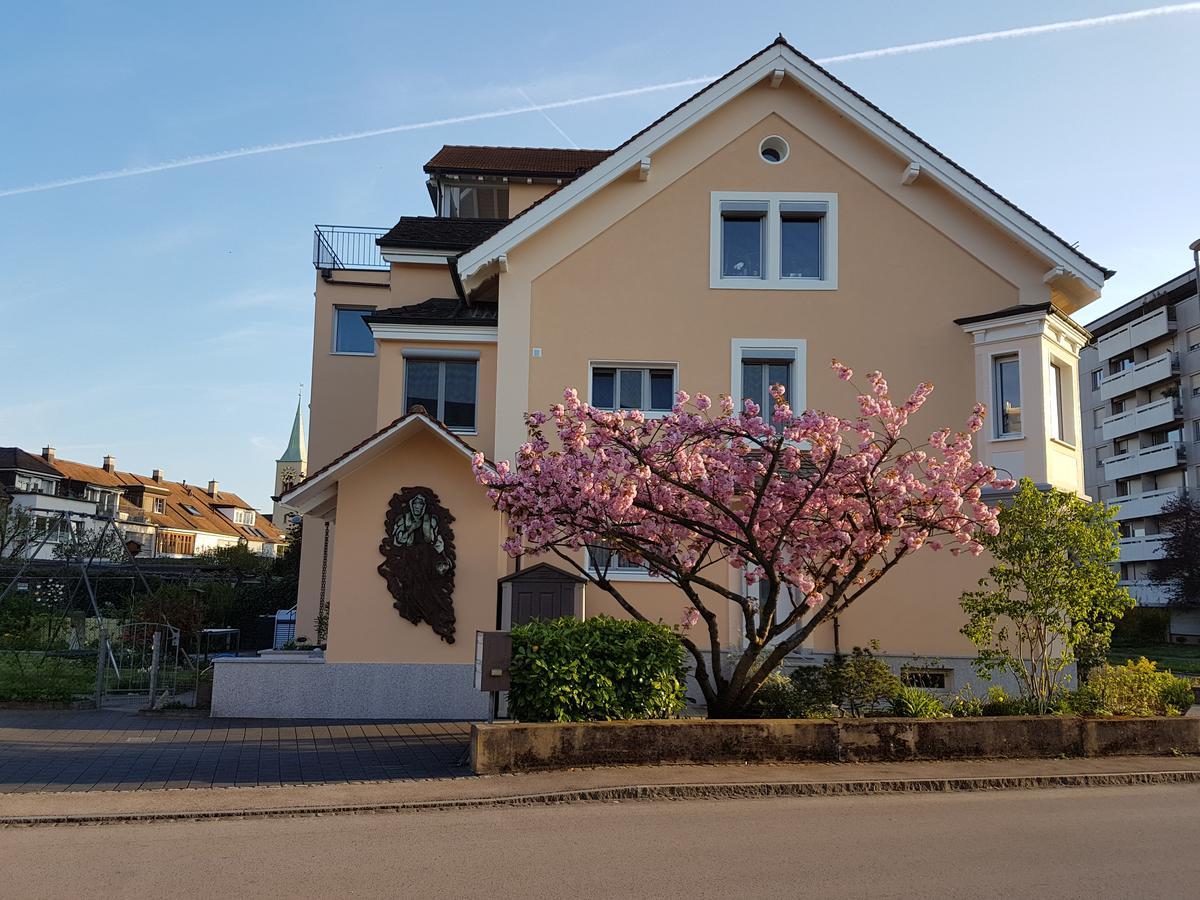 Niros Bed & Breakfast Birsfelden Eksteriør bilde